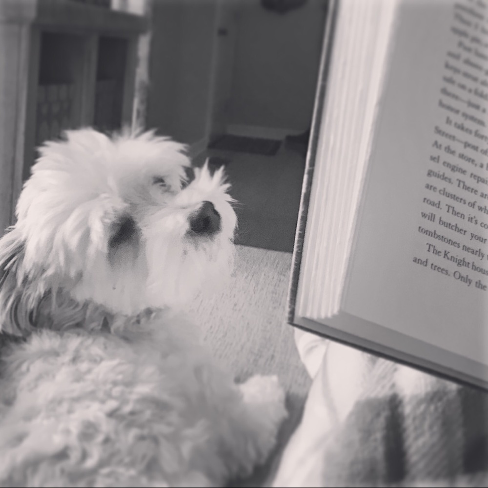 Meet your Posher, Claire